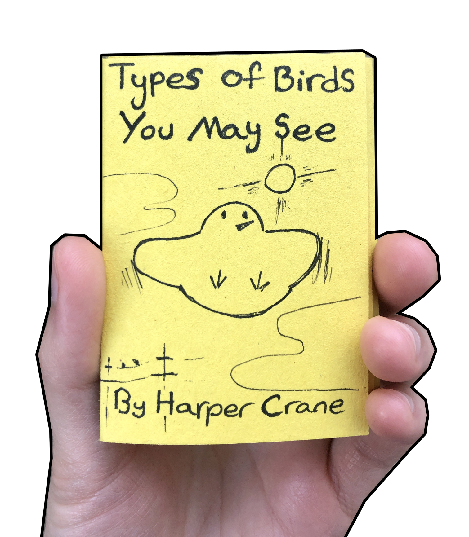 birds