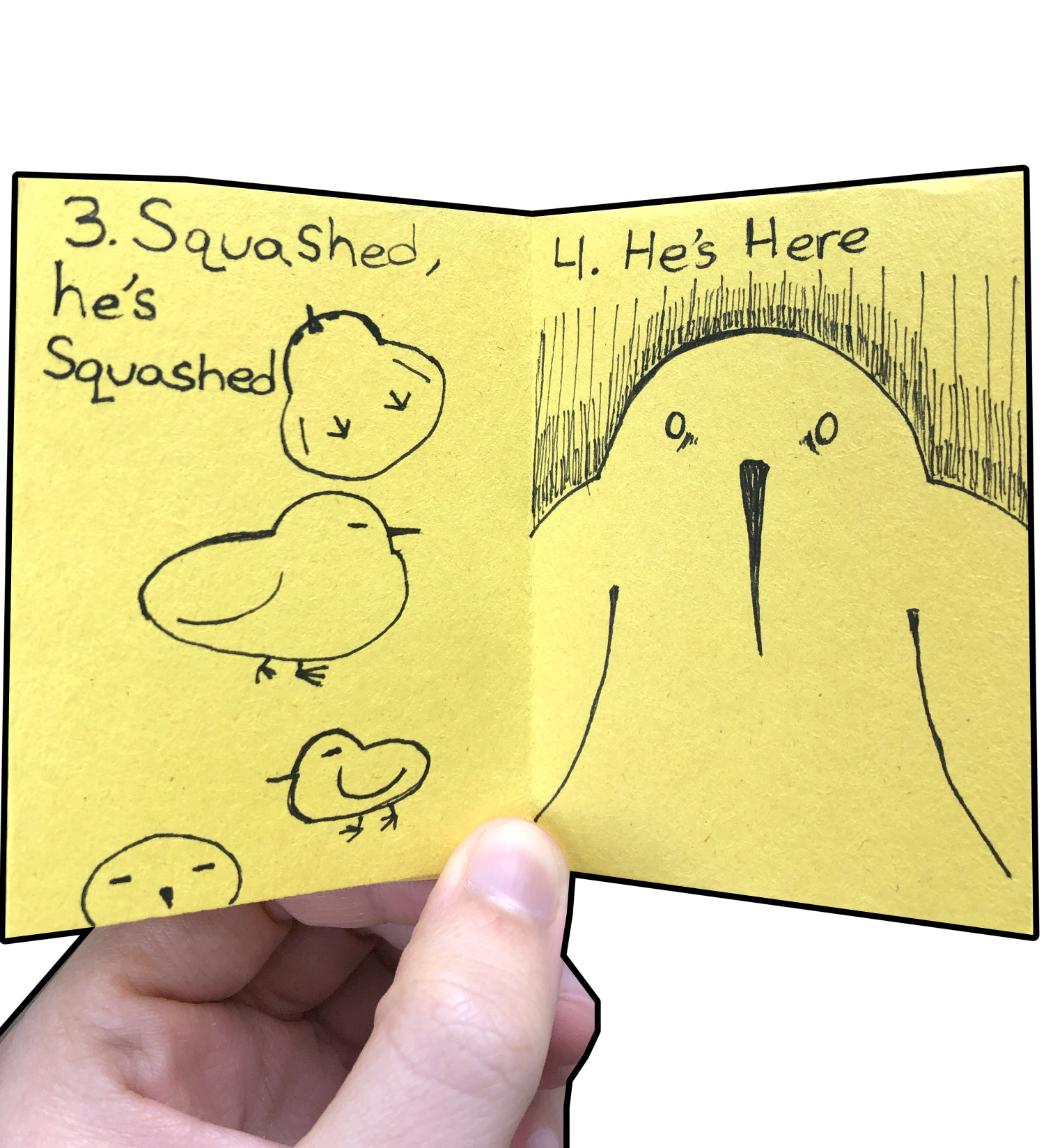 birds